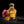 A bottle of CALIFAH Tonka & Amber Parfum with a gold cap and golden liquid, styled with a pink rose, a faceted amber gem, and whole almonds on a black background.